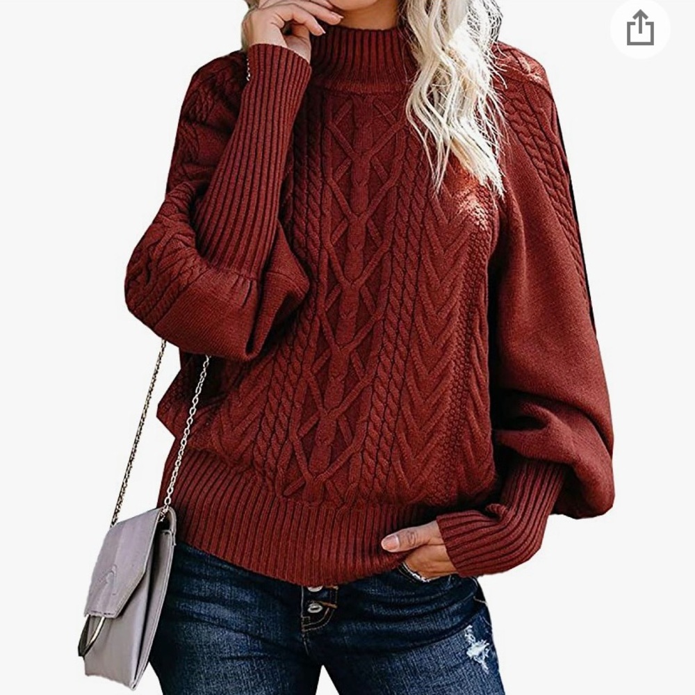 Women’s Winter/Fall Solid Turtleneck Balloon Long Sleeve Sweater